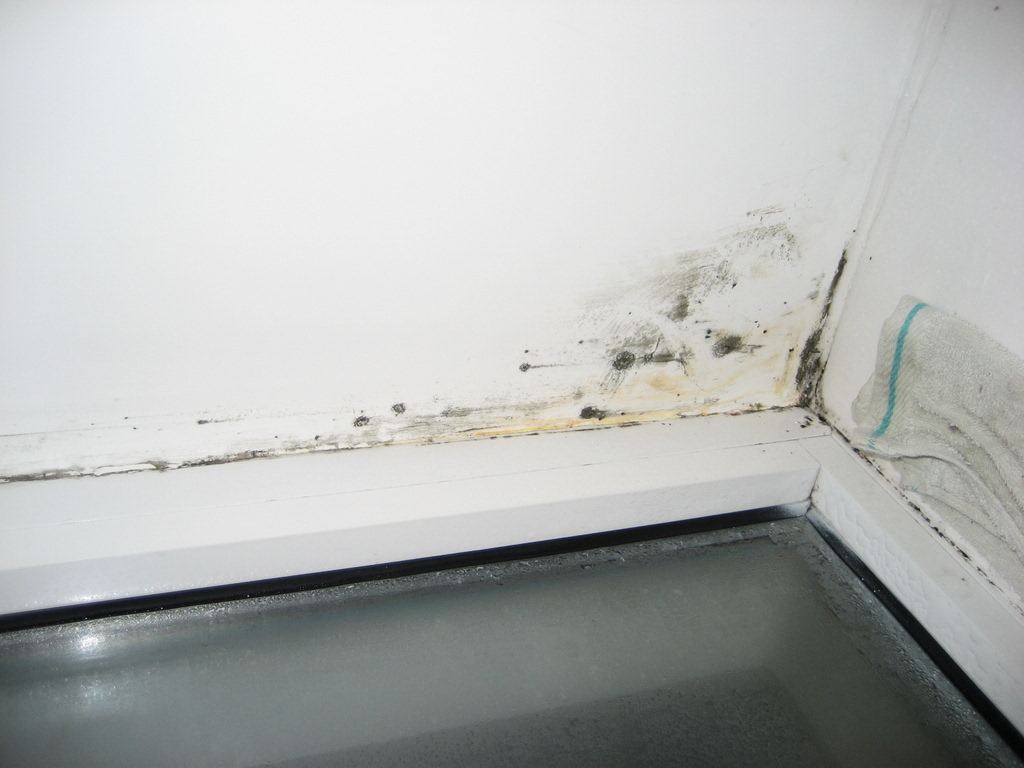 墻體發霉的處理和預防方法