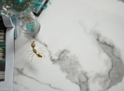 來閣設計整理出品-設計聯系：13607018416 (9)