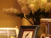 來閣設計整理出品-地中海4