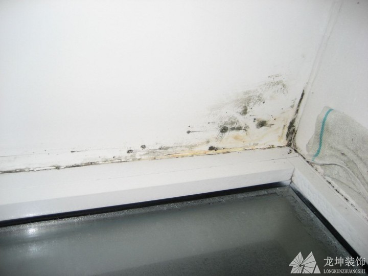 墻體發(fā)霉的處理和預(yù)防方法