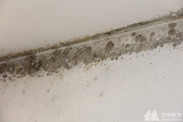 墻體發(fā)霉的處理和預(yù)防方法